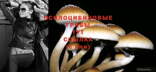 соль курить ск Навашино